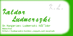 kaldor ludmerszki business card